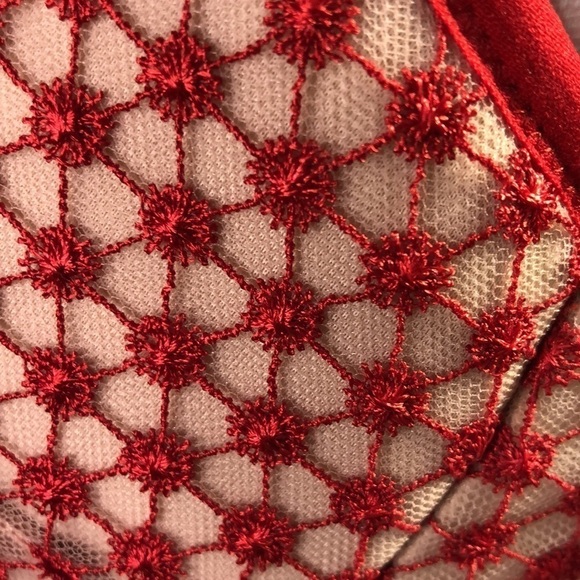 Beautiful Red Mesh And Embroidery Multiple Crisscross Back Straps Push-up Bra - Picture 6 of 10